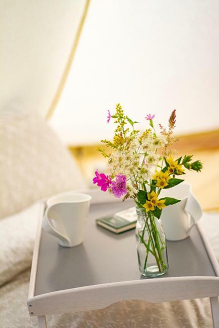 Hotel Lloyds Meadow Glamping à Chester Extérieur photo