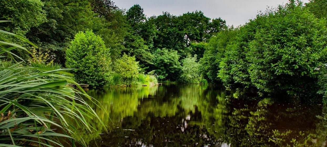 Hotel Lloyds Meadow Glamping à Chester Extérieur photo